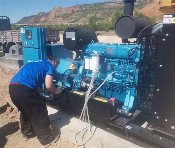 濰柴電子原裝(zhuang)機組WPG275/B8