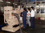 甘肅康明斯船(chuán)用柴油發電機組(zu)