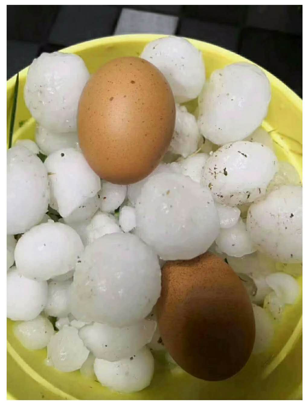 甘肅發生冰(bing)雹災害