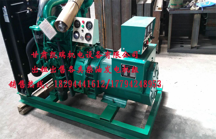 甘肅玉柴柴油(yóu)發電機組廠家