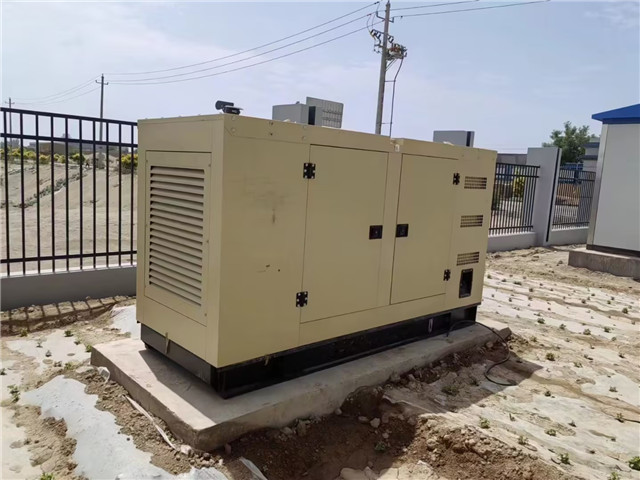 民勤縣西(xī)茨林場100kw玉柴靜(jìng)音機組安裝調(diao)試完成