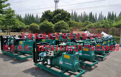 蘭州柴油(you)發電機組價格(gé)